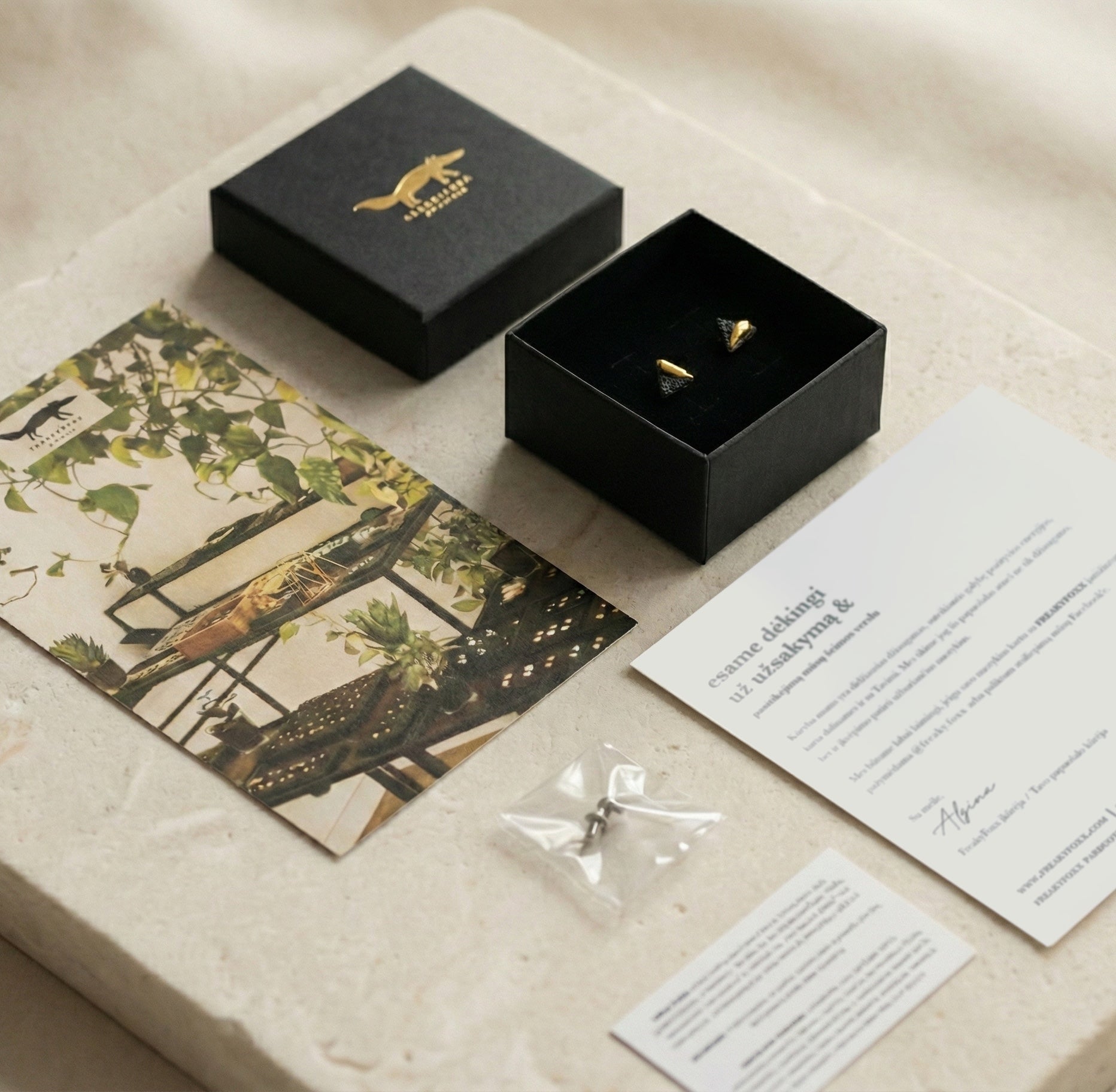 Auskarai porcelianas | Alba